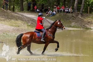 CFCC-2019-01484