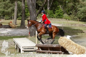 CFCC-2019-01486