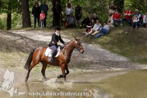 CFCC-2019-01490