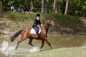 CFCC-2019-01493