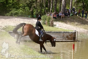 CFCC-2019-01501