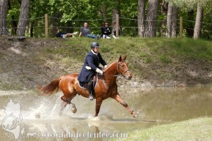 CFCC-2019-01504