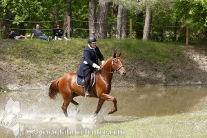 CFCC-2019-01505
