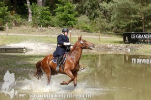 CFCC-2019-01509