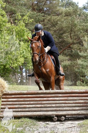 CFCC-2019-01510