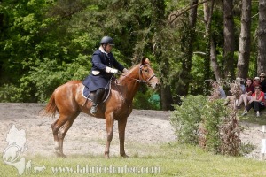 CFCC-2019-01513