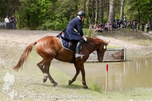 CFCC-2019-01515