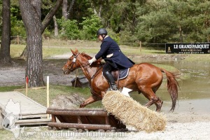 CFCC-2019-01517