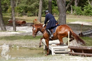 CFCC-2019-01518