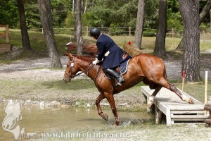 CFCC-2019-01520
