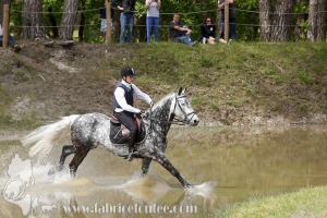 CFCC-2019-01522