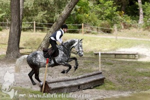 CFCC-2019-01524