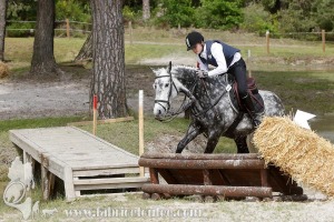 CFCC-2019-01533