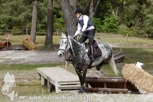 CFCC-2019-01534