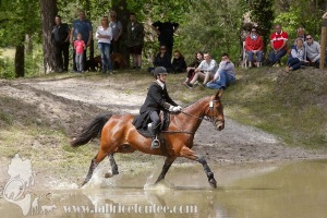 CFCC-2019-01536