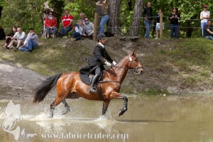 CFCC-2019-01537