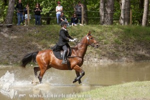 CFCC-2019-01538