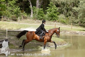 CFCC-2019-01542