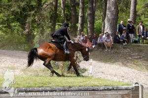CFCC-2019-01547