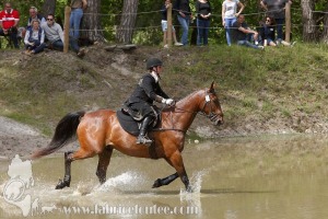 CFCC-2019-01550