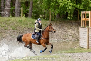 CFCC-2019-01555