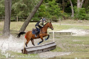 CFCC-2019-01556