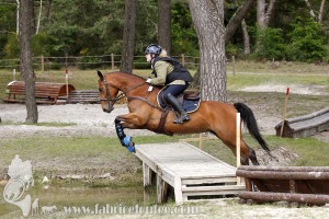 CFCC-2019-01563