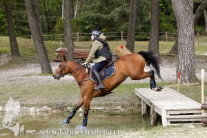 CFCC-2019-01564