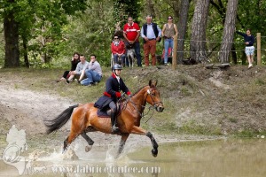 CFCC-2019-01565