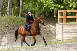 CFCC-2019-01567