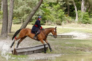 CFCC-2019-01569