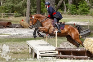 CFCC-2019-01579