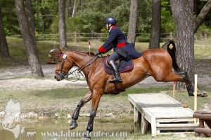 CFCC-2019-01580