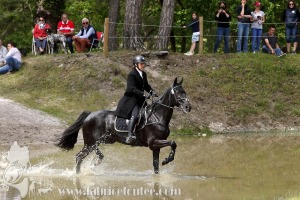 CFCC-2019-01582