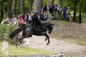 CFCC-2019-01588