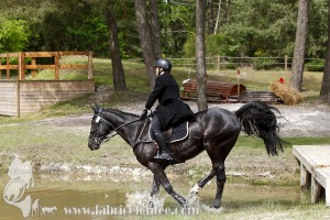 CFCC-2019-01593