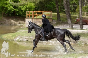 CFCC-2019-01594