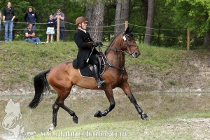 CFCC-2019-01597