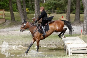 CFCC-2019-01609