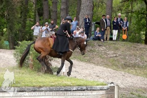 CFCC-2019-01631