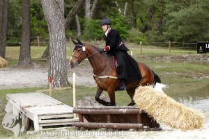 CFCC-2019-01634