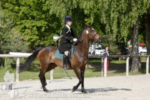 CFCC-2019-00505