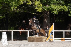CFCC-2019-00508