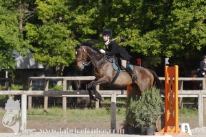 CFCC-2019-00509