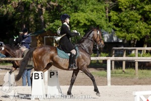CFCC-2019-00511