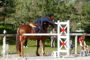 CFCC-2019-00516