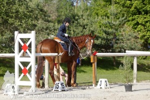 CFCC-2019-00517