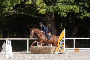CFCC-2019-00520