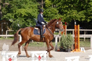 CFCC-2019-00521