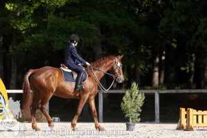 CFCC-2019-00522